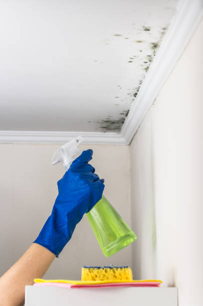 Water Damage Restoration in Carol Stream, IL
